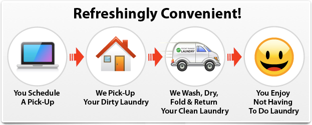Clean All Wash Dry Fold Pickup Delivery Process